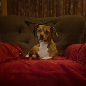 Meet your Posher, Victoria